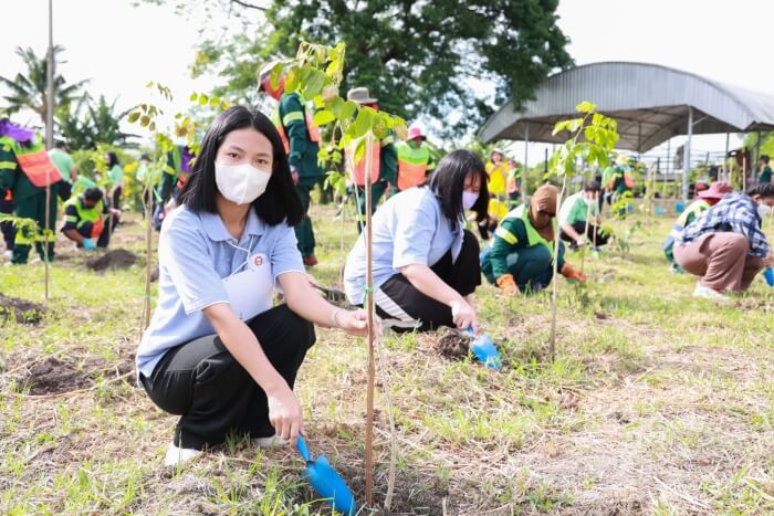มหาวิทยาลัยกรุงเทพธนบุรีร่วมมือกับเขตทวีวัฒนา ปลูกต้นไม้ 919 ต้น เพื่อสร้างพื้นที่สีเขียวและกำแพงกรองฝุ่น